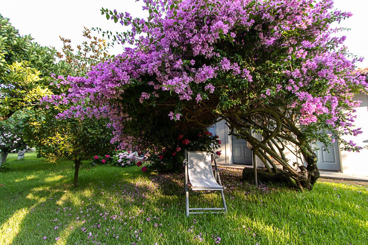 Villa Hermes ซานเฟอร์ดินานโด ภายนอก รูปภาพ